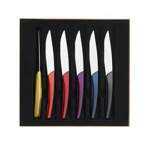 Coffret-de-6-couteaux-a-steack-Guy-Degrenne-Quartz (1).webp
